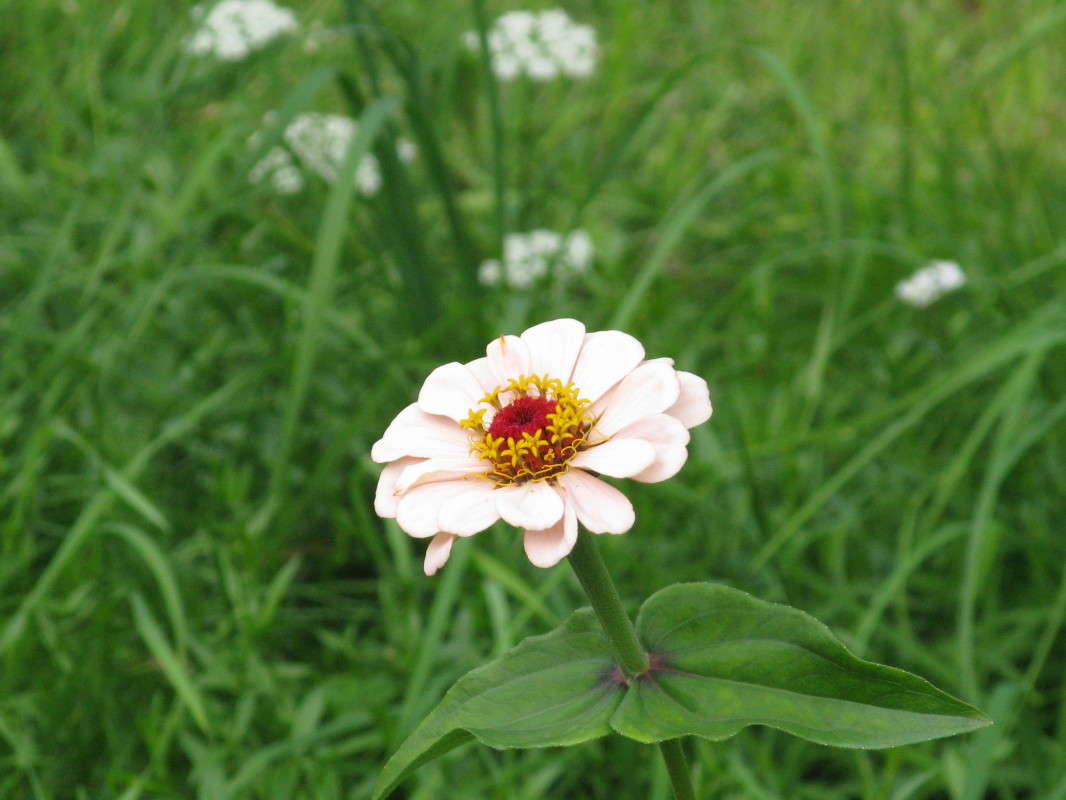 �������� ������ ����� ������� ��������� �� PhotoGeek.ru #����� #������ ��� ������� #����� ��������������