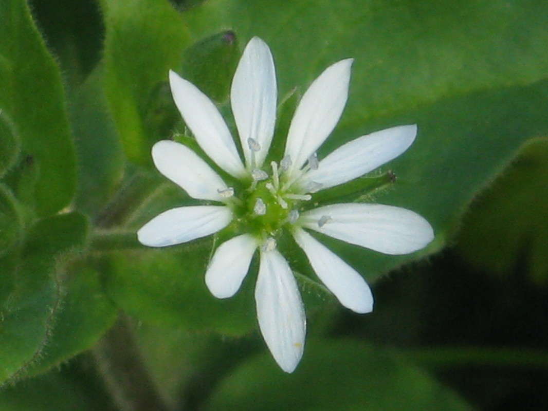 ���������� ����� ������� ��������� �� PhotoGeek.ru #����� #������ ��� ������� #����� ��������������