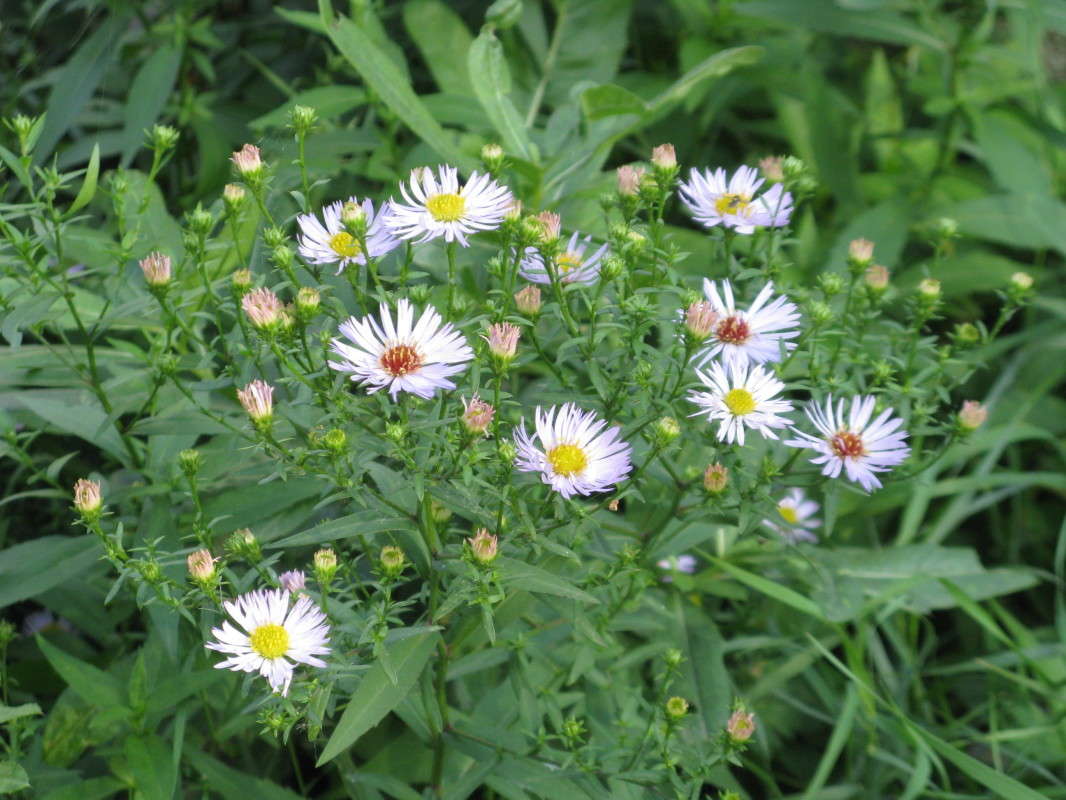 ���������� ����� ������� ��������� �� PhotoGeek.ru #������ ��� ������� #����� ��������������