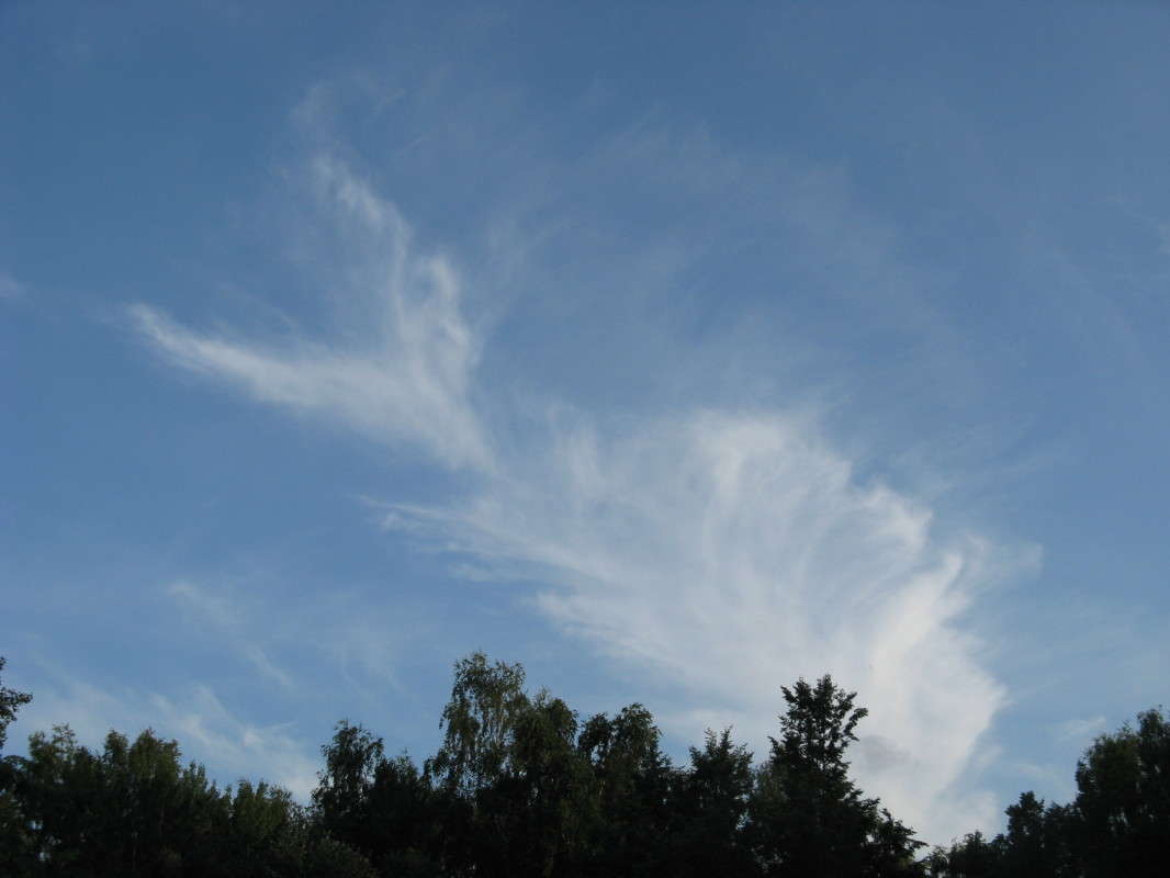 ������-���� ����� ������� ��������� �� PhotoGeek.ru #������ ��� �������