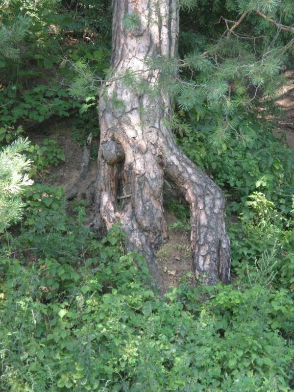 ����������� ����� ����� ������� ��������� �� PhotoGeek.ru #������ ��� �������