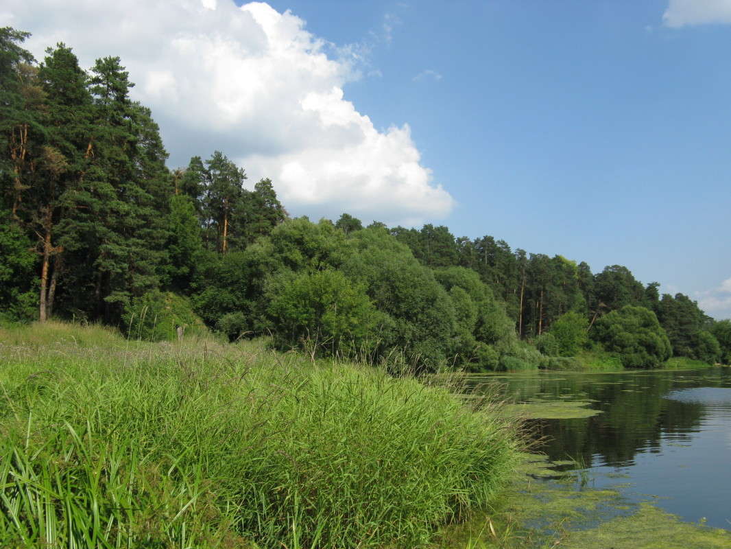 �������� � ���� ����� ������� ��������� �� PhotoGeek.ru #������ ��� �������