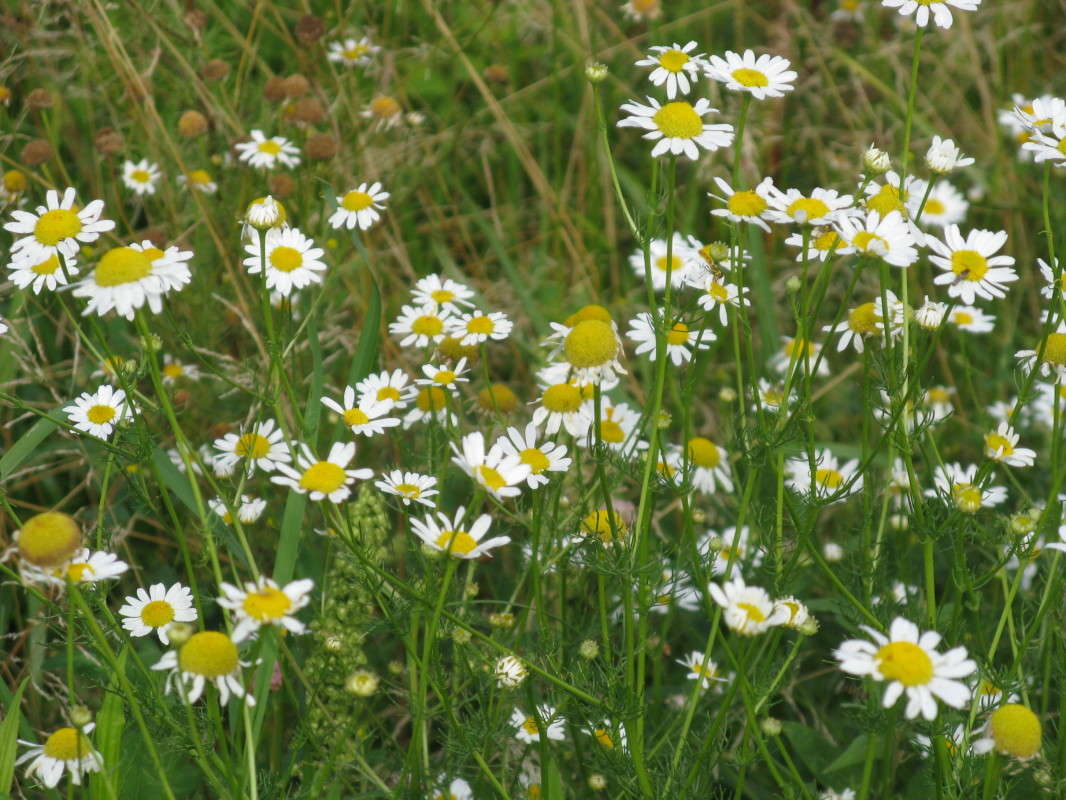 ������� ����� ������� ��������� �� PhotoGeek.ru #������ ��� ������� #����� ��������������