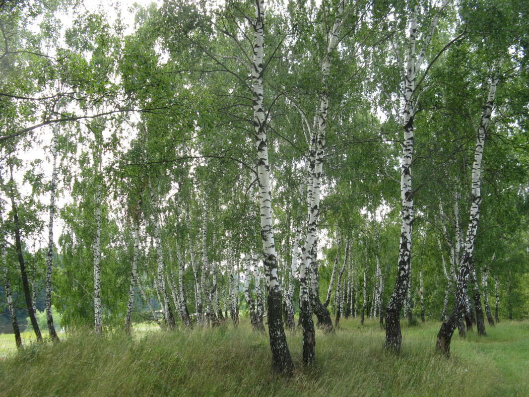 �������� ���� �� ������ �. ����� ����� ������� ��������� �� PhotoGeek.ru #������ ��� �������