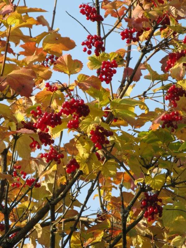 ������ ������� ����� ������� ��������� �� PhotoGeek.ru #������ ��� ������� #����� ��������������