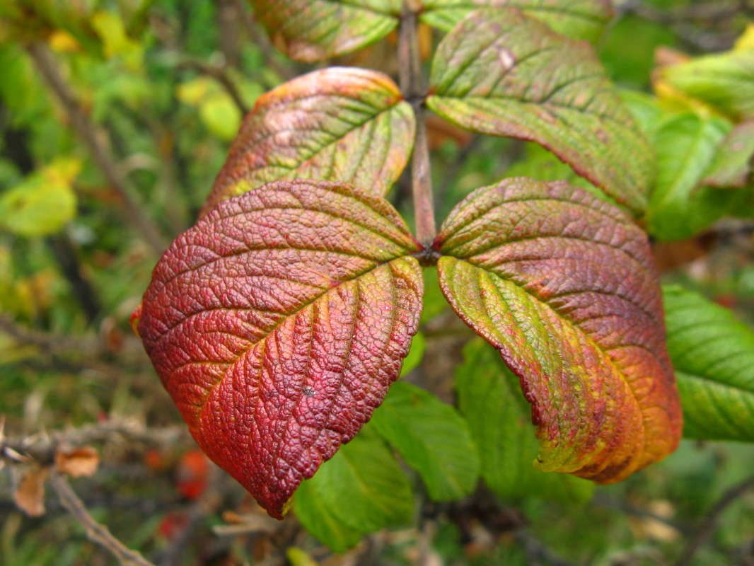 ������� �������� ����� ������� ��������� �� PhotoGeek.ru #����� #������ ��� ������� #����� ��������������