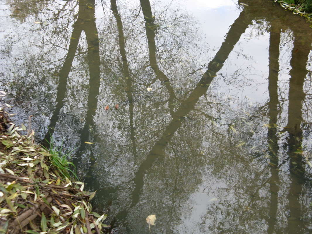 ��������� ����� ������� ��������� �� PhotoGeek.ru #������ ��� �������