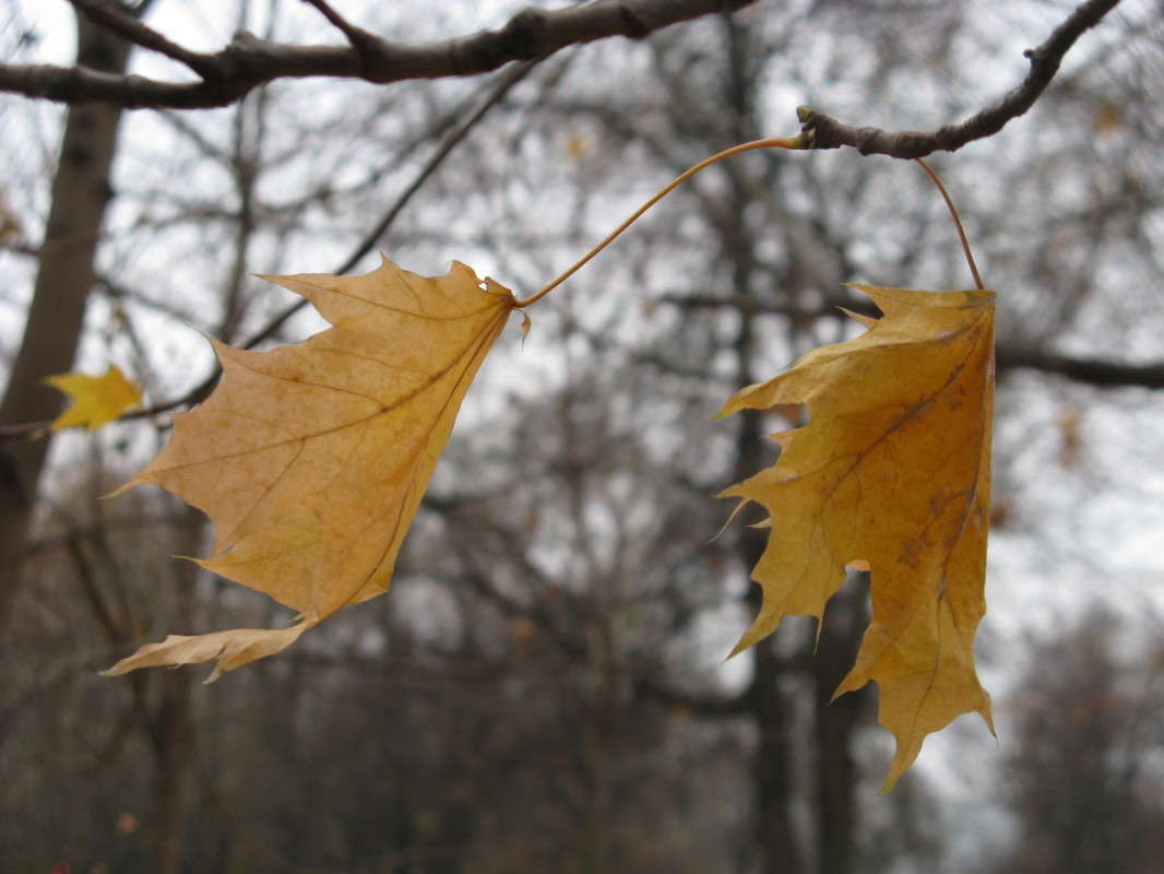 ��������� ������ ����� ������� ��������� �� PhotoGeek.ru #����� #������ ��� �������