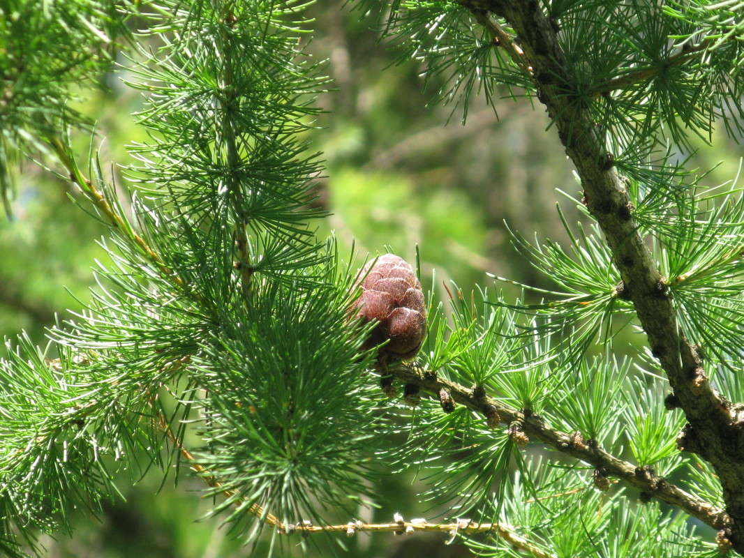 ������� ����� ������� ��������� �� PhotoGeek.ru #������ ��� ������� #����� ��������������