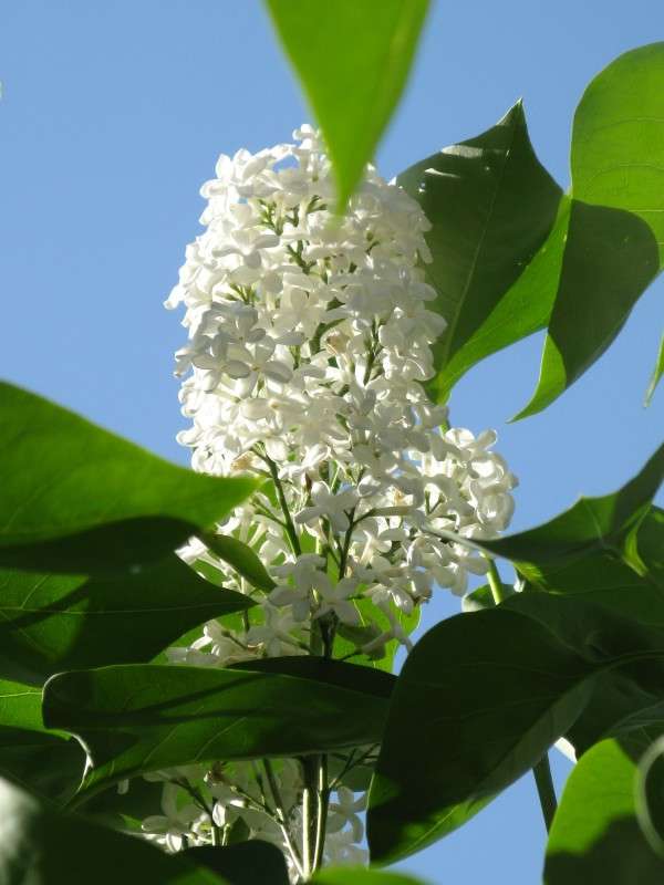 ����� ������ ����� ������� ��������� �� PhotoGeek.ru #������ ��� ������� #����� ��������������