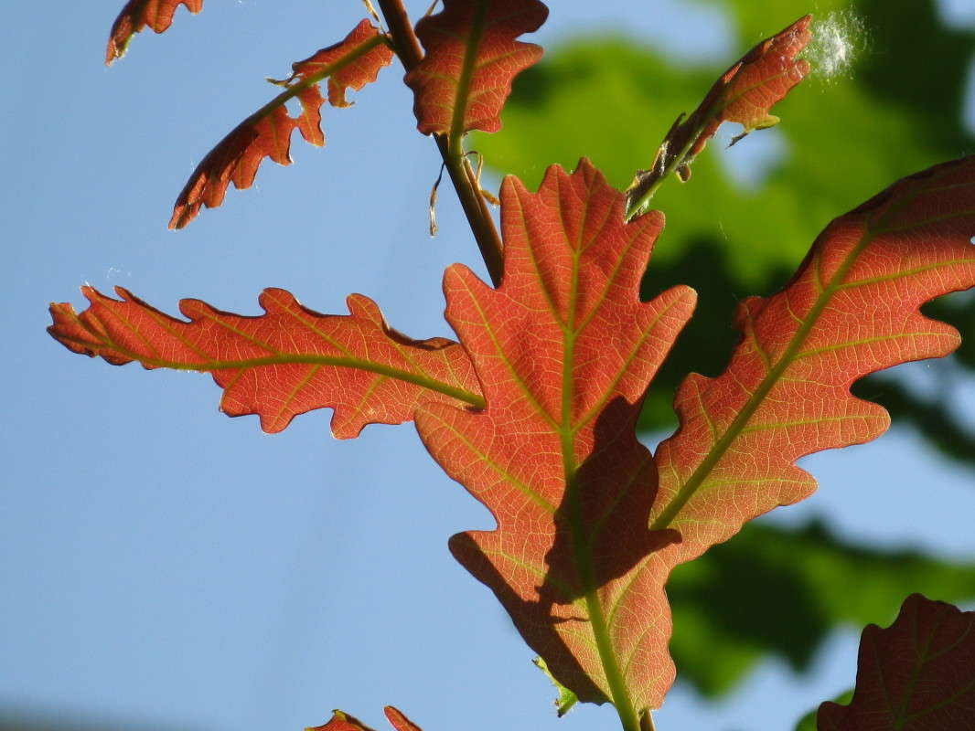 ������ ������ ����� ����� ������� ��������� �� PhotoGeek.ru #����� #������ ��� ������� #����� ��������������