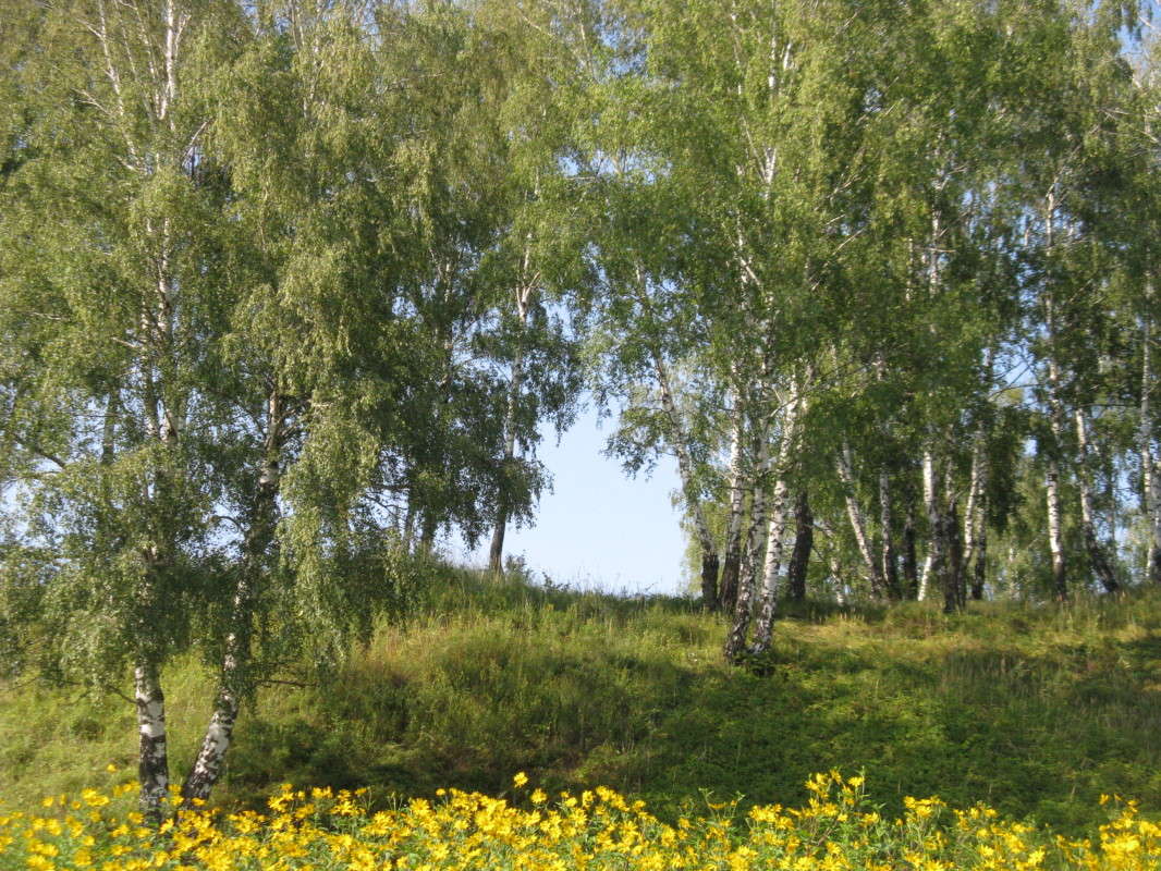 ������ ������ ����� ������� ��������� �� PhotoGeek.ru #������ ��� ������� #����� ��������������