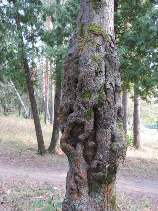 �������� ������� ����� ������� ��������� �� PhotoGeek.ru #������ ��� ������� #����� ��������������