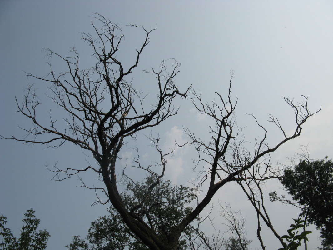 ̸����� ������ ����� ������� ��������� �� PhotoGeek.ru #������ ��� �������