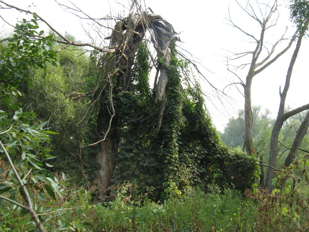 ������� ������� ������ ����� ������� ��������� �� PhotoGeek.ru #������ ��� ������� #����� ��������������