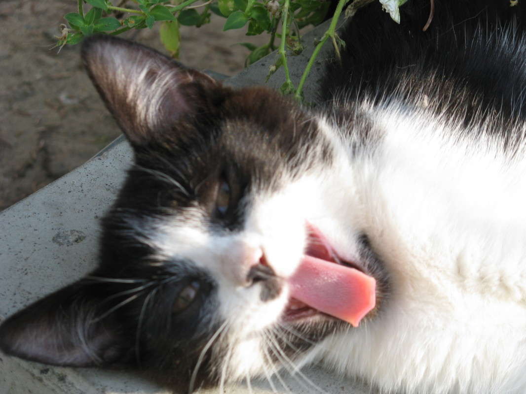 ������ �� � ����! ����� ������� ��������� �� PhotoGeek.ru #�������� ���