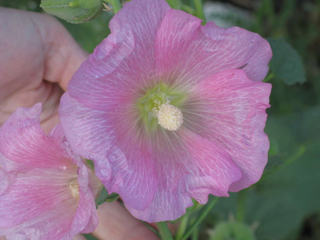 ������� ������ ����� ������� ��������� �� PhotoGeek.ru #����� #������ ��� ������� #����� ��������������