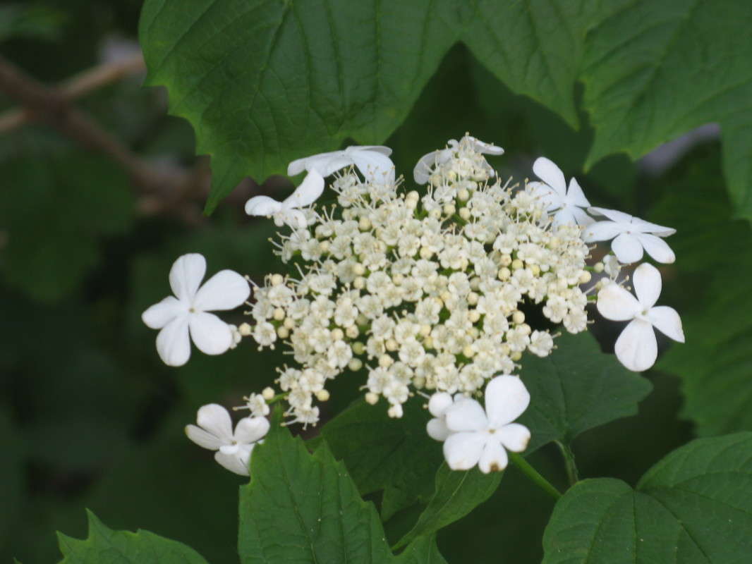 ��������� ����� ����� ������� ��������� �� PhotoGeek.ru #����� #������ ��� ������� #����� ��������������