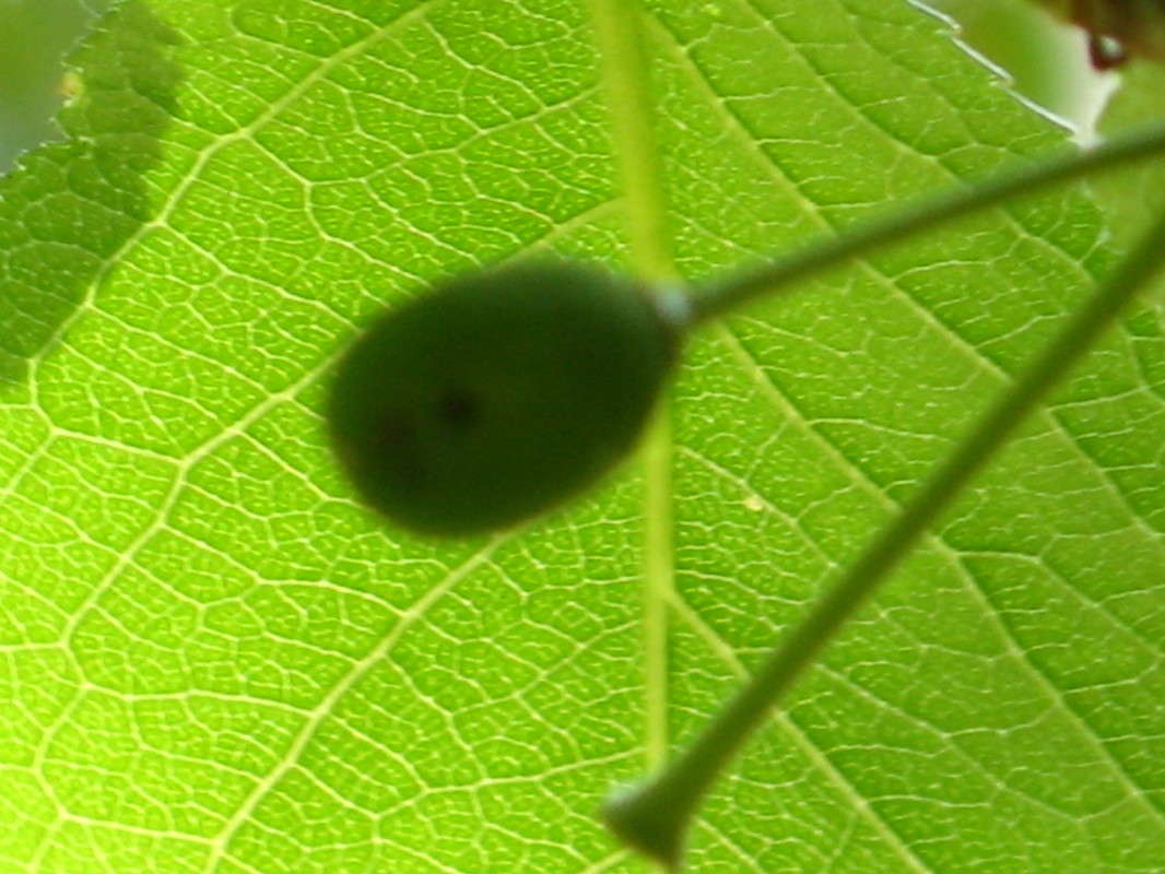 ������ ���� ����� ������� ��������� �� PhotoGeek.ru #����� #������ ��� ������� #����� ��������������