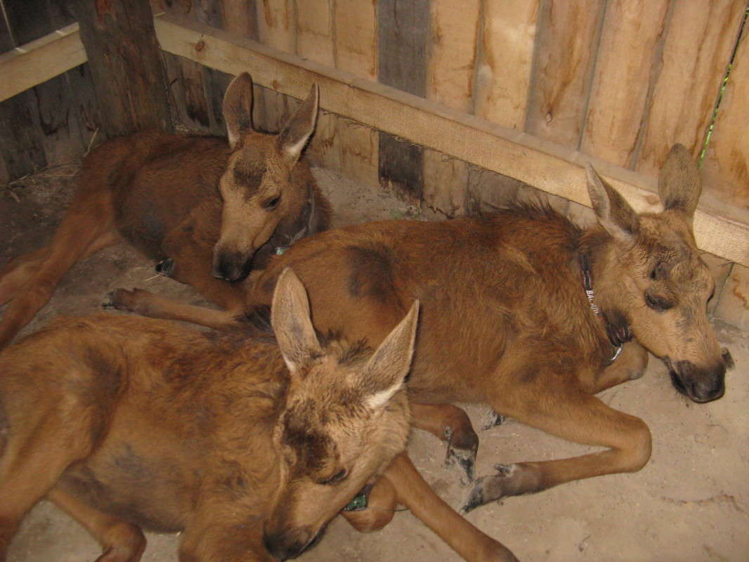 ������������� ������� �����. ��������� ������ ����� ������� ��������� �� PhotoGeek.ru #�������� ���