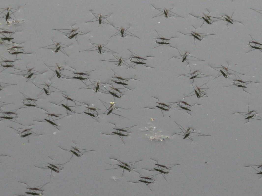 ������� � ����� ���������? ����� ������� ��������� �� PhotoGeek.ru #���������