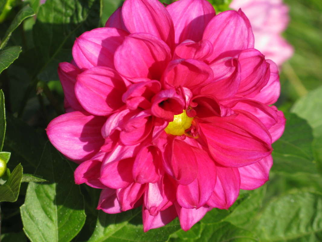 ��������� ����... ����� ������� ��������� �� PhotoGeek.ru #����� #������ ��� ������� #����� ��������������