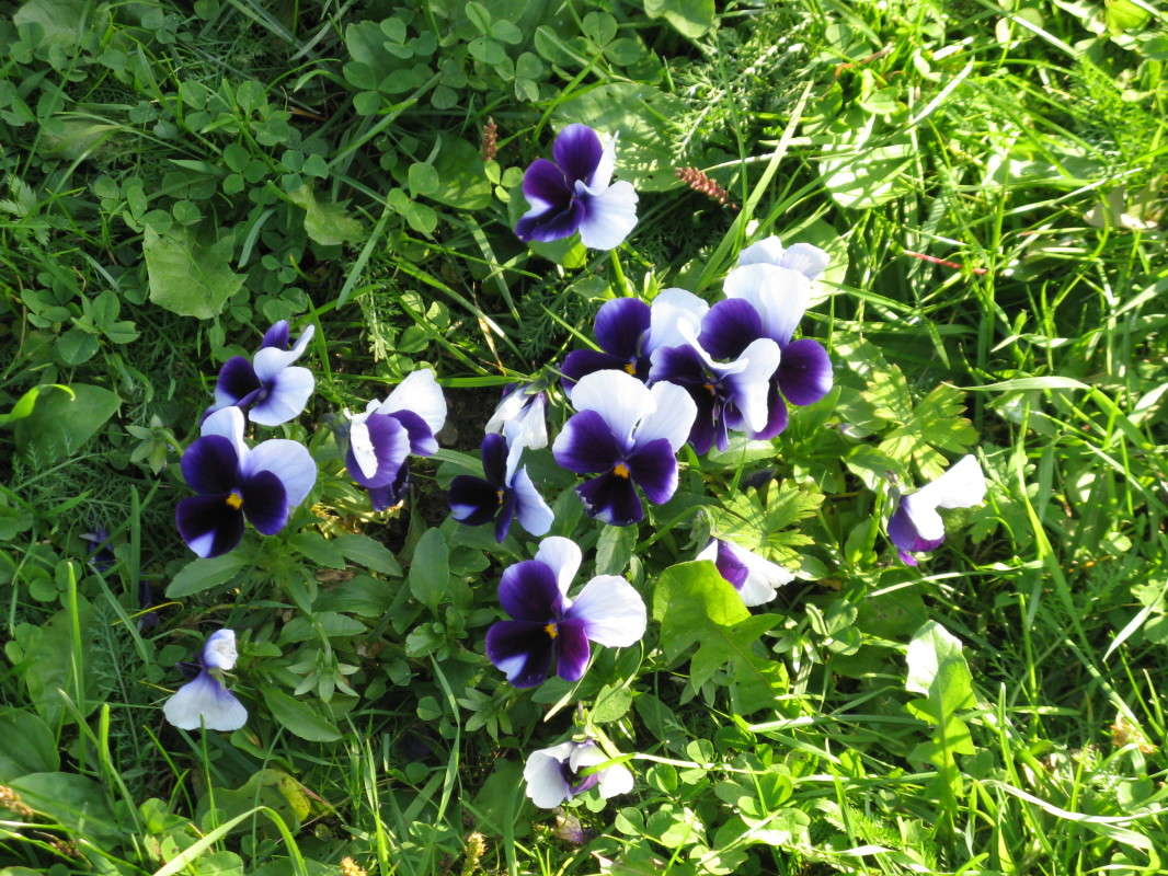 ������������ ������� ������ ����� ������� ��������� �� PhotoGeek.ru #������ ��� ������� #����� ��������������