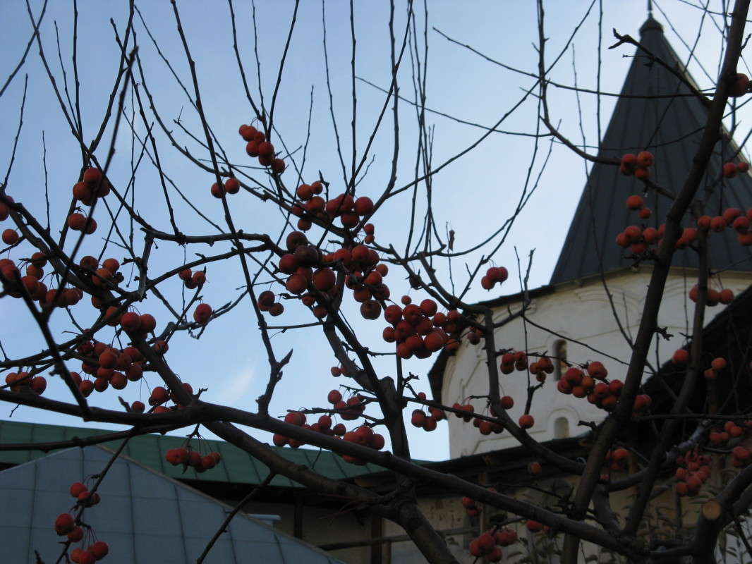 ������ �� ���� ������������ ����� ����� ������� ��������� �� PhotoGeek.ru #������ ��� ������� #�����������