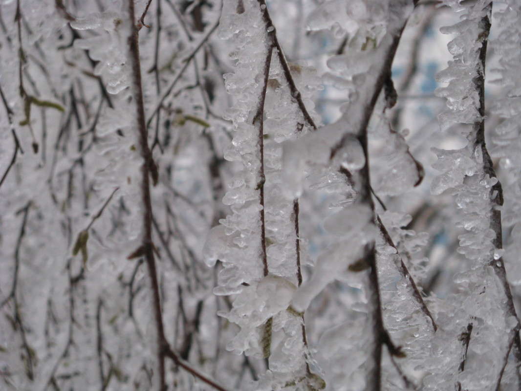 ������� ����� ����� ������� ��������� �� PhotoGeek.ru #����� #������ ��� �������