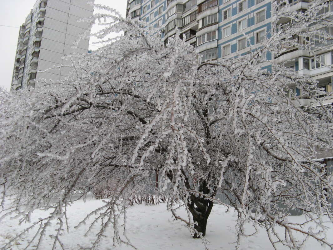 ������� ������� ����� ������� ��������� �� PhotoGeek.ru #������ ��� �������