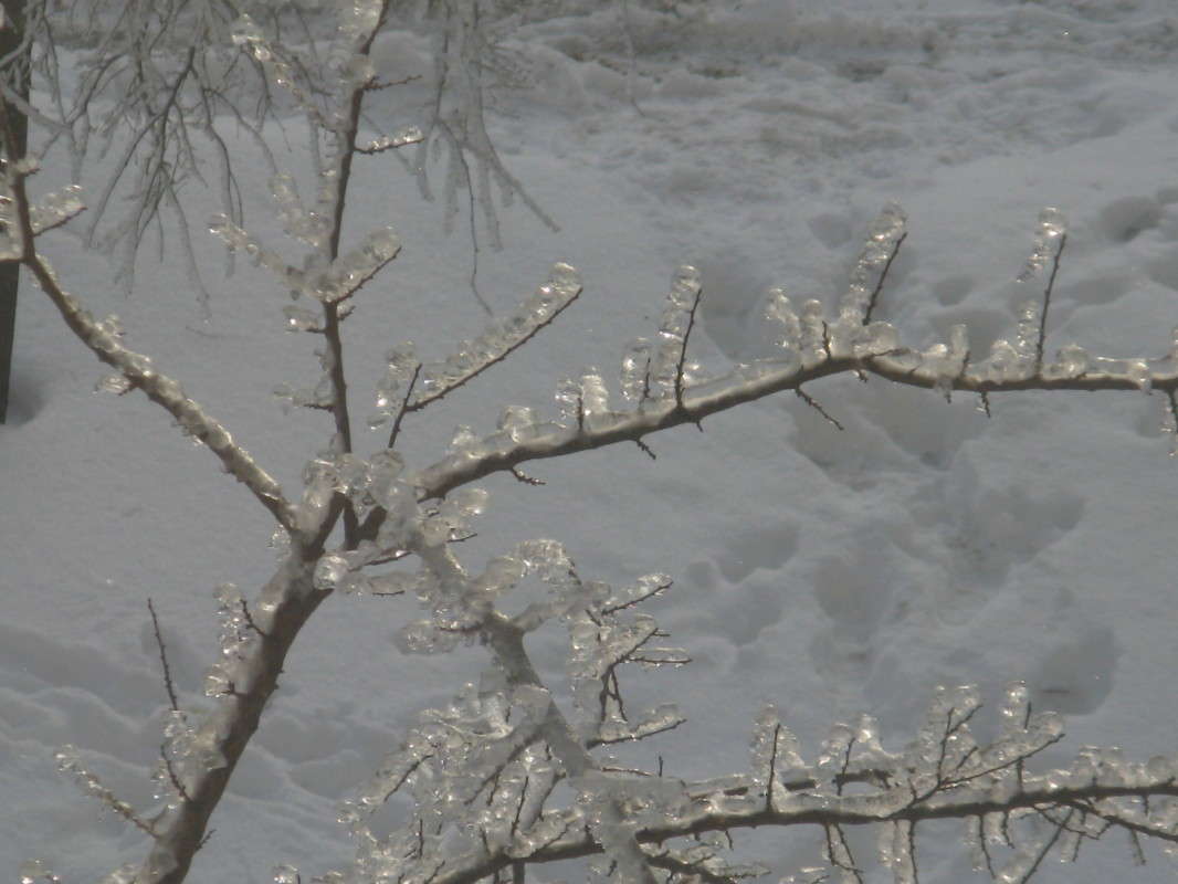 ������� ����� 2 ����� ������� ��������� �� PhotoGeek.ru #������ ��� �������