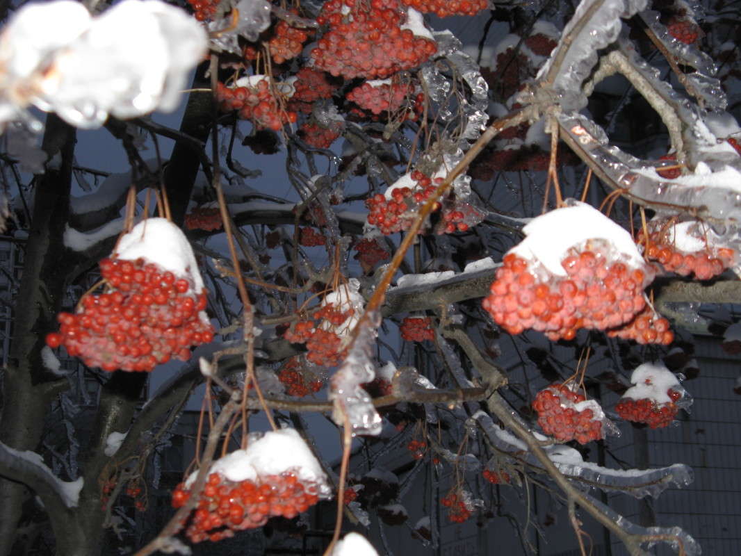 ������ � ������-������� ������� ����� ������� ��������� �� PhotoGeek.ru #����� #������ ��� �������