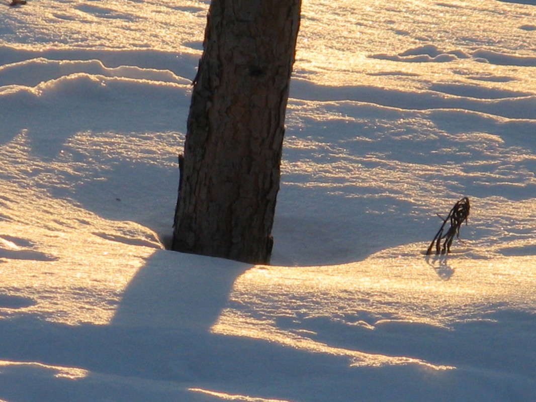 ���������. ������������ ���� ����� ������� ��������� �� PhotoGeek.ru #������ ��� ������� #������