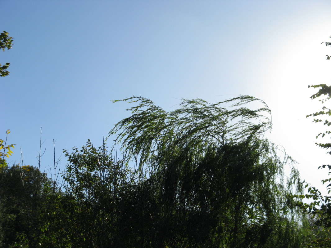 ����� ����� ������� ��������� �� PhotoGeek.ru #������ ��� �������