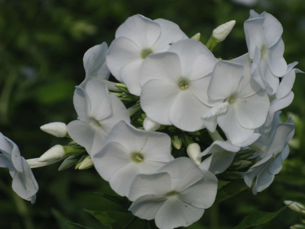 ��������� ����� ������� ��������� �� PhotoGeek.ru #����� #������ ��� ������� #����� ��������������