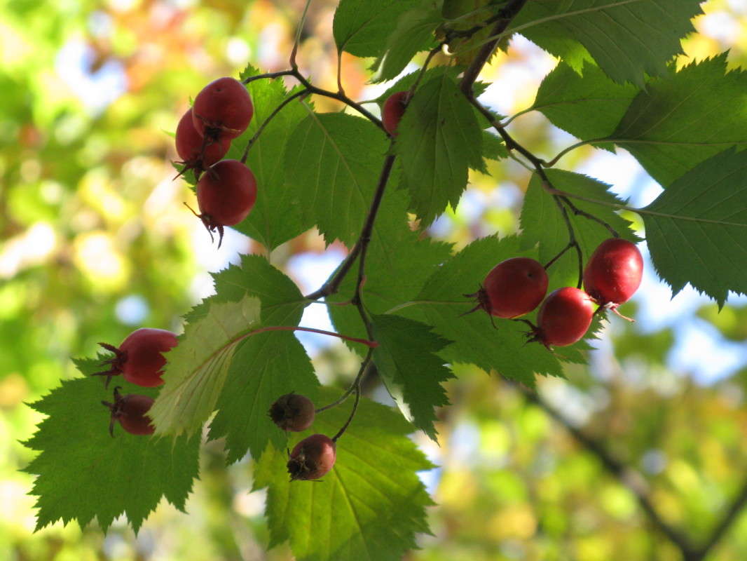 ������� ����� ����� ������� ��������� �� PhotoGeek.ru #����� #������ ��� ������� #����� ��������������