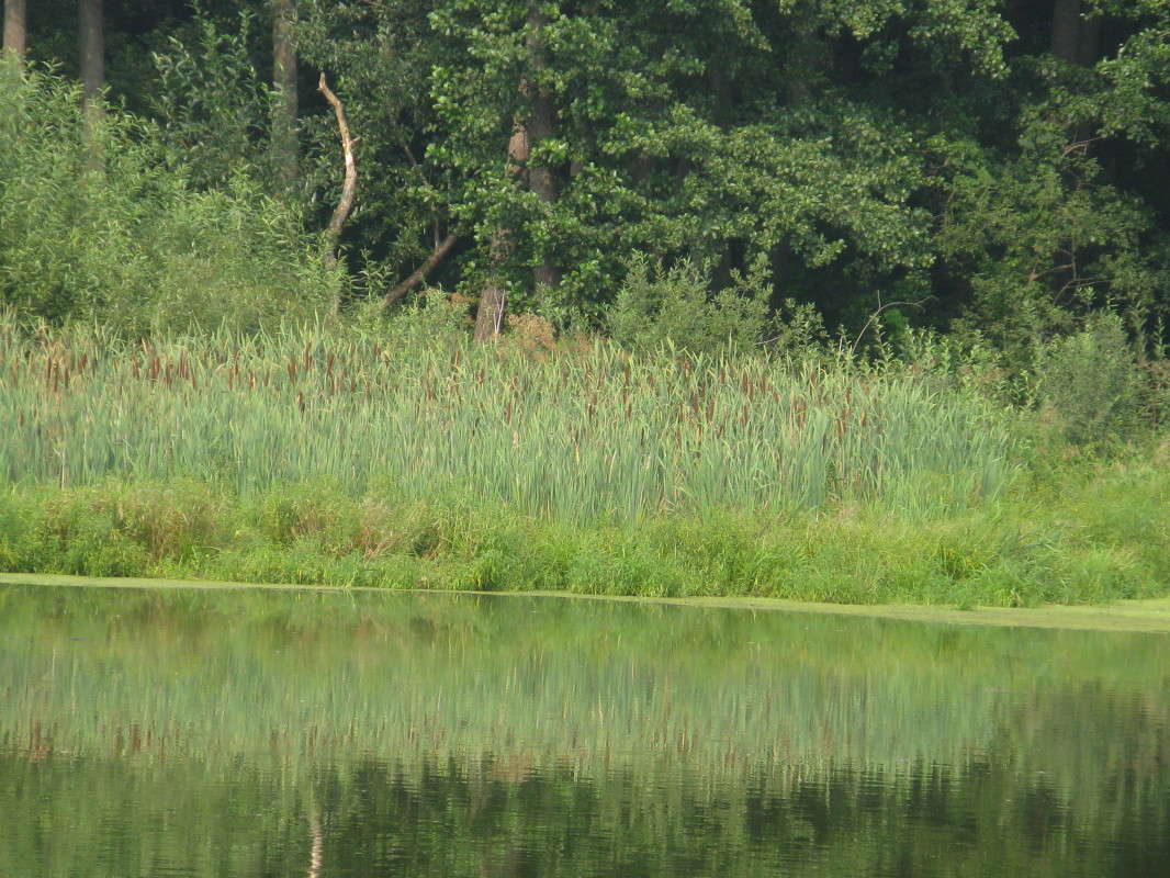 ������ ����� ����� ������� ��������� �� PhotoGeek.ru #������ ��� �������