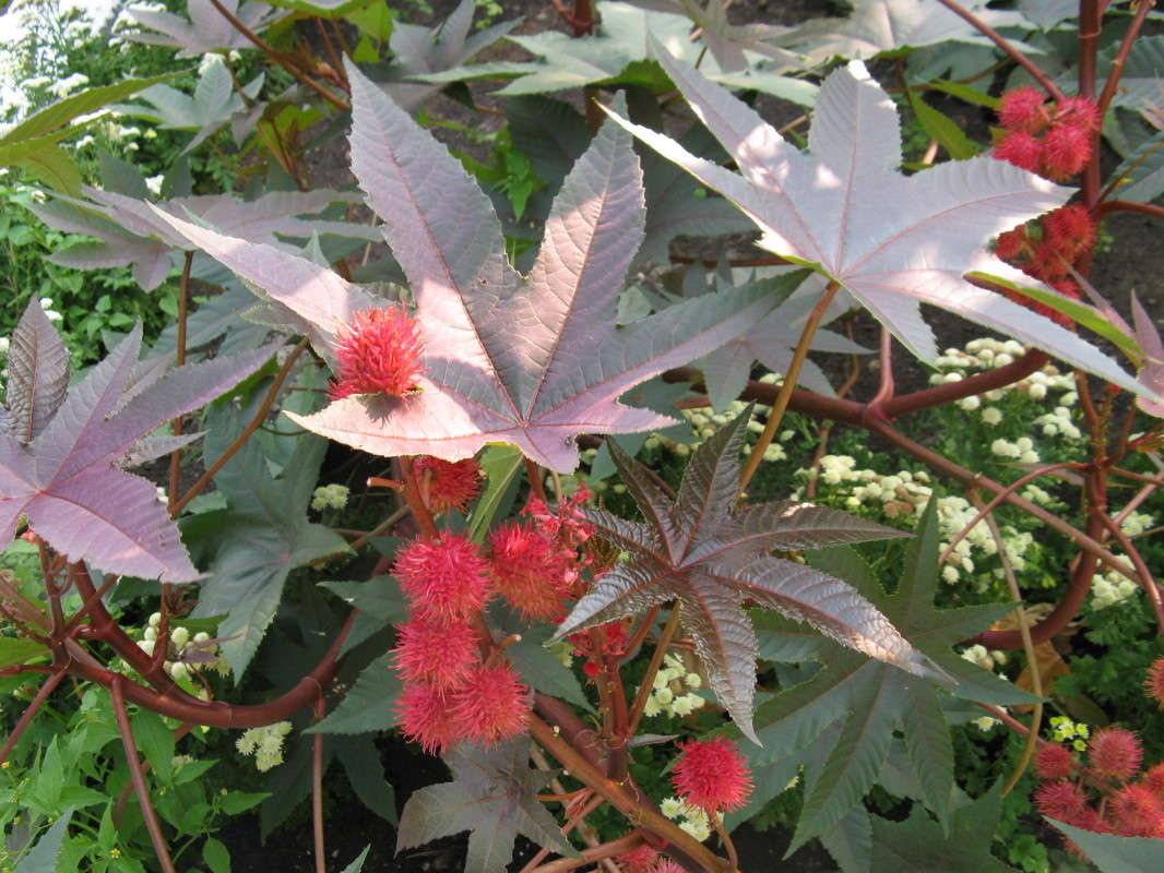 ������� ��������� ����� ������� ��������� �� PhotoGeek.ru #������ ��� ������� #����� ��������������