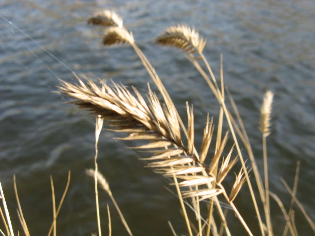 ����� ������� ����� ������� ��������� �� PhotoGeek.ru #������ ��� ������� #����� ��������������