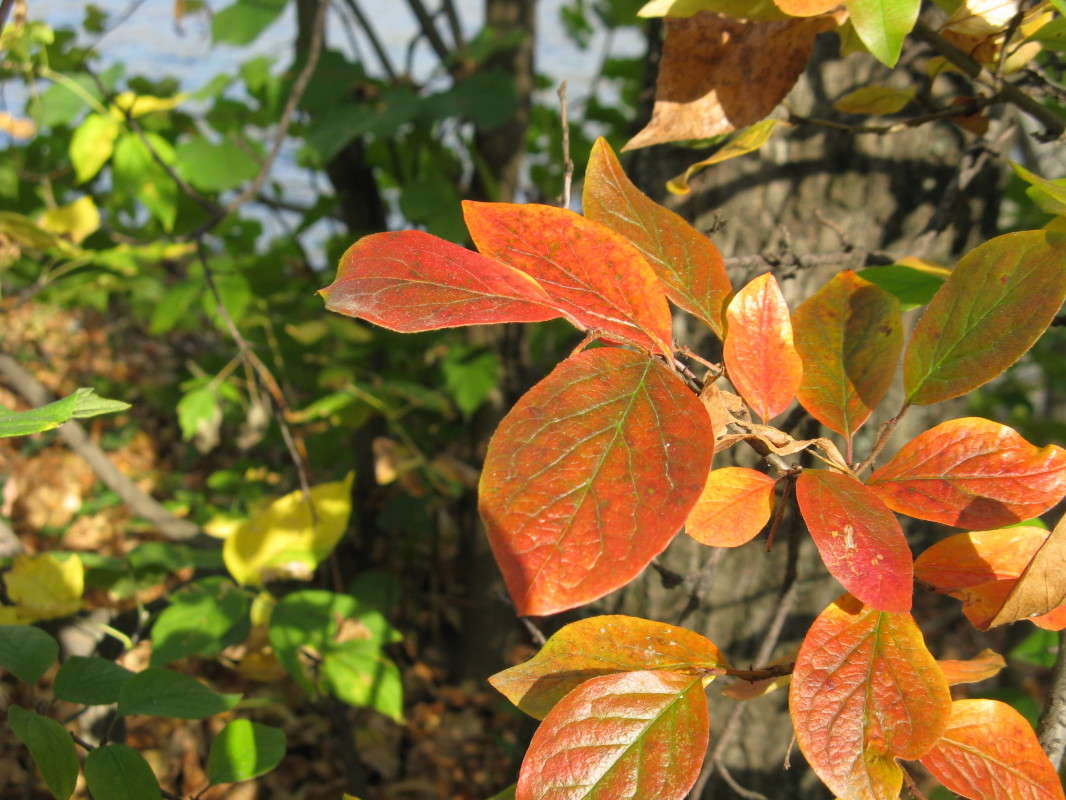 ���� ������ ����� ������� ��������� �� PhotoGeek.ru #������ ��� ������� #����� ��������������