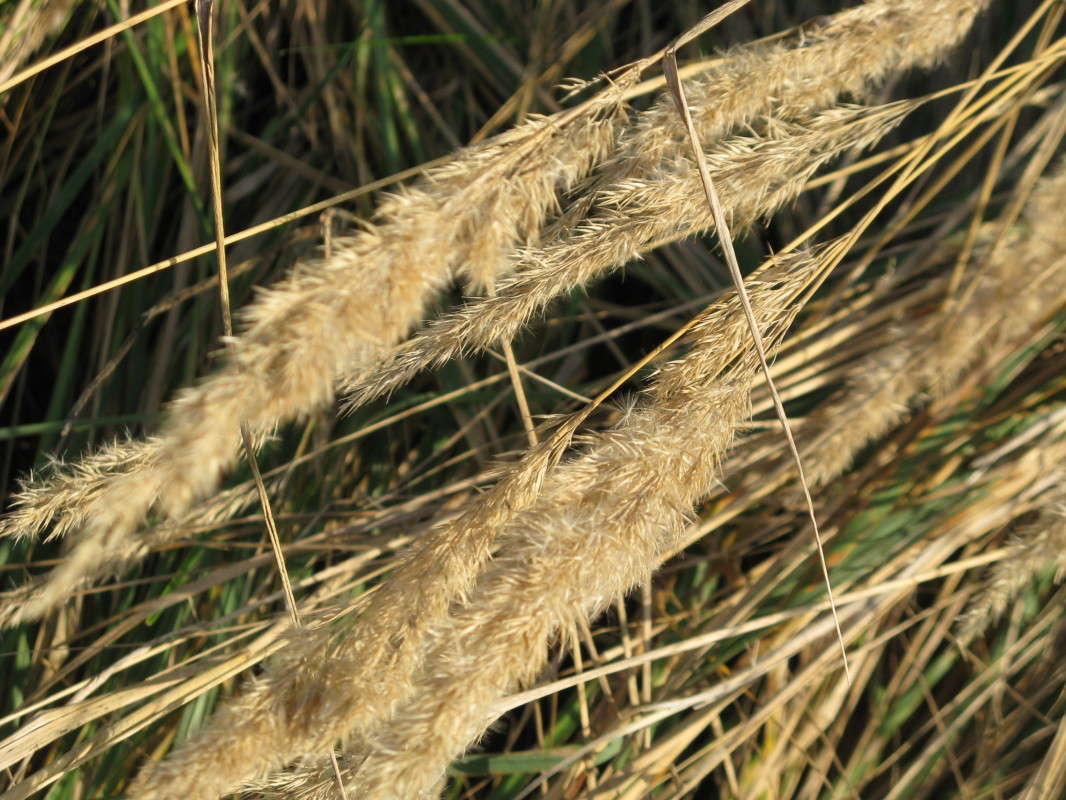 ������� ����� ������� ��������� �� PhotoGeek.ru #������ ��� ������� #����� ��������������