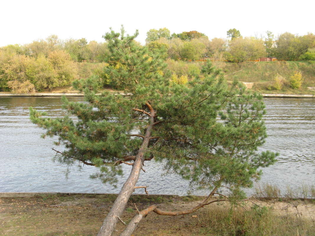 ������ ������� ����� ������� ��������� �� PhotoGeek.ru #������ ��� ������� #����� ��������������