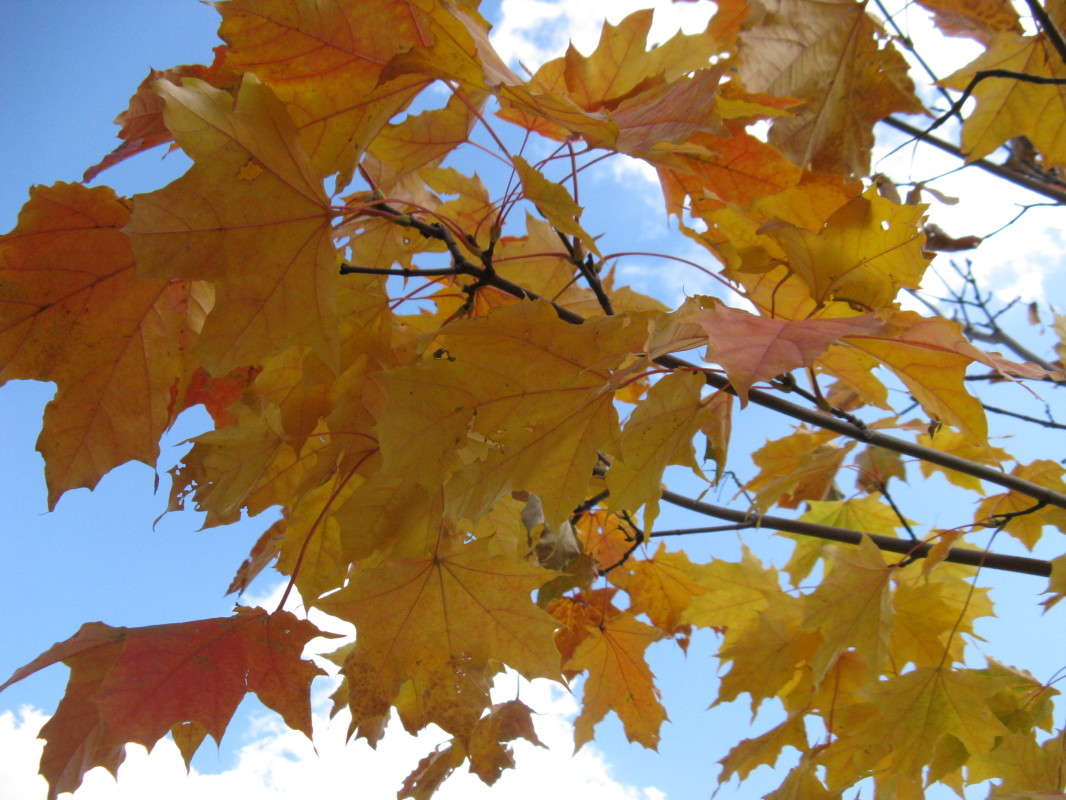 ������� ������ ����� ������� ��������� �� PhotoGeek.ru #������ ��� ������� #����� ��������������