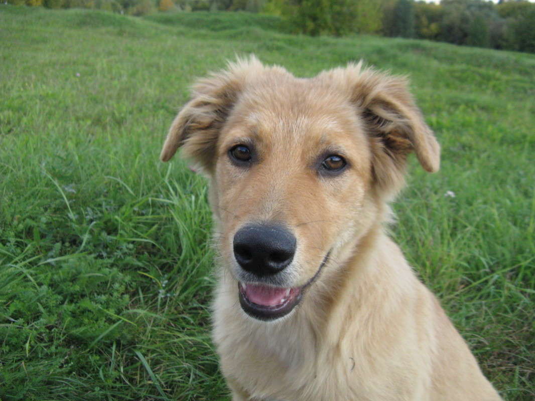 ������-������� ����� ������� ��������� �� PhotoGeek.ru #�������� ���