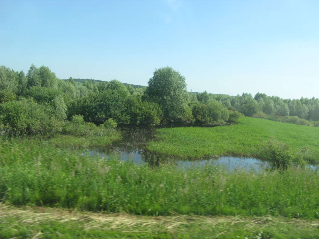 ������� ��������. ��� �� ����� ����� ������� ��������� �� PhotoGeek.ru #������ ��� �������