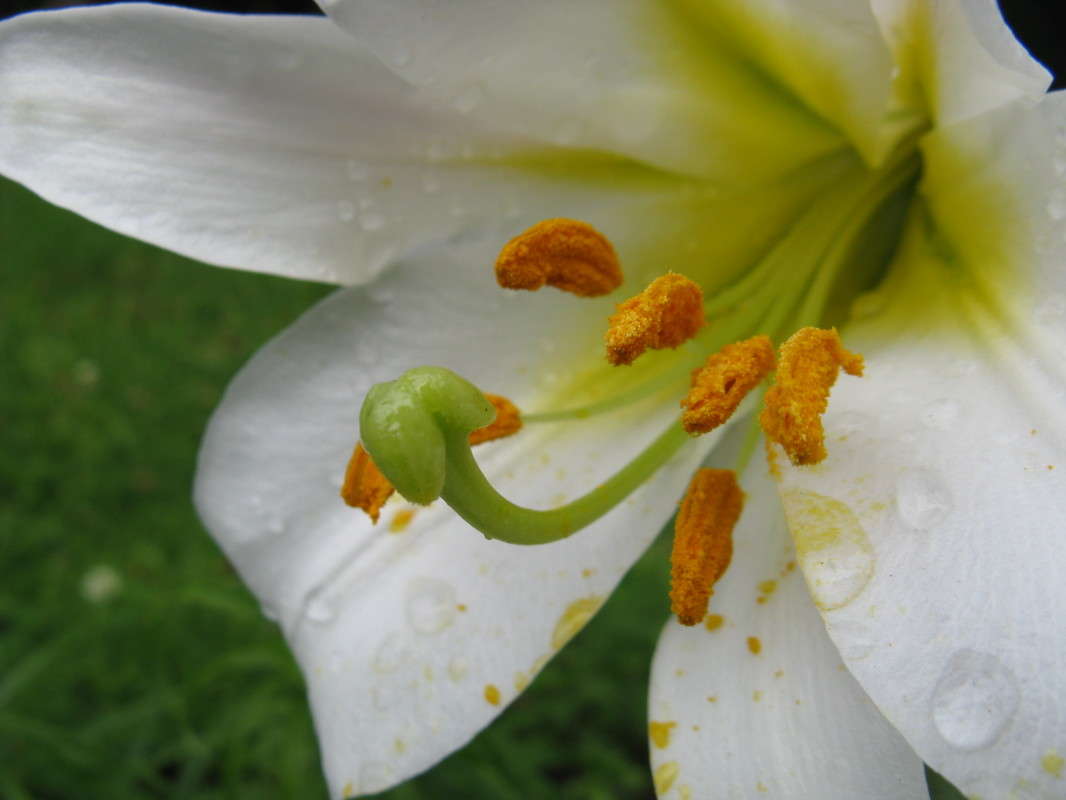 ����� �����. ����� ����� ����� ������� ��������� �� PhotoGeek.ru #����� #������ ��� ������� #����� ��������������