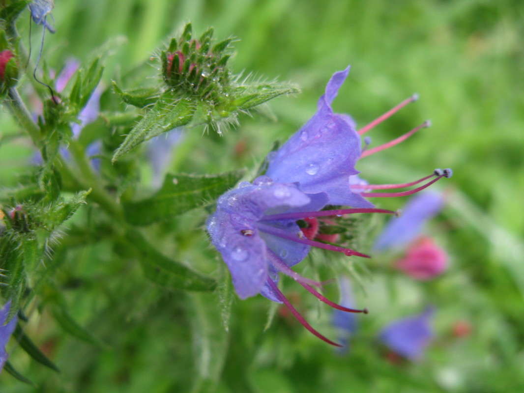 ��������� ����� ����� ������� ��������� �� PhotoGeek.ru #����� #������ ��� ������� #����� ��������������