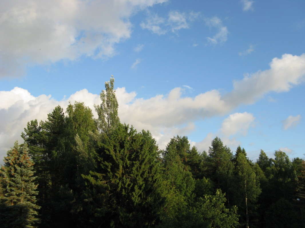 ����� ����� ����� ������� ��������� �� PhotoGeek.ru #������ ��� �������