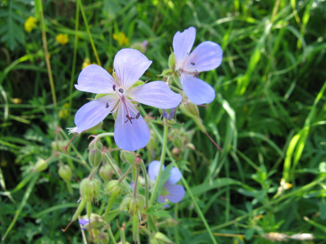 ������� ������ ����� ������� ��������� �� PhotoGeek.ru #������ ��� ������� #����� ��������������