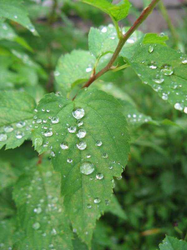 �������� ������� ����� ������� ��������� �� PhotoGeek.ru #����� #������ ��� ������� #����� ��������������